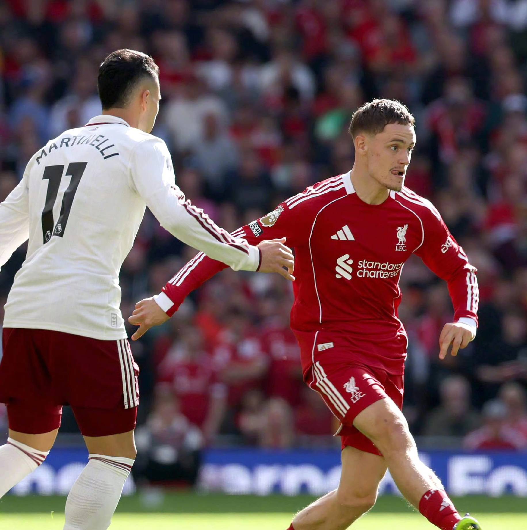 育收藏品市 育收藏品市