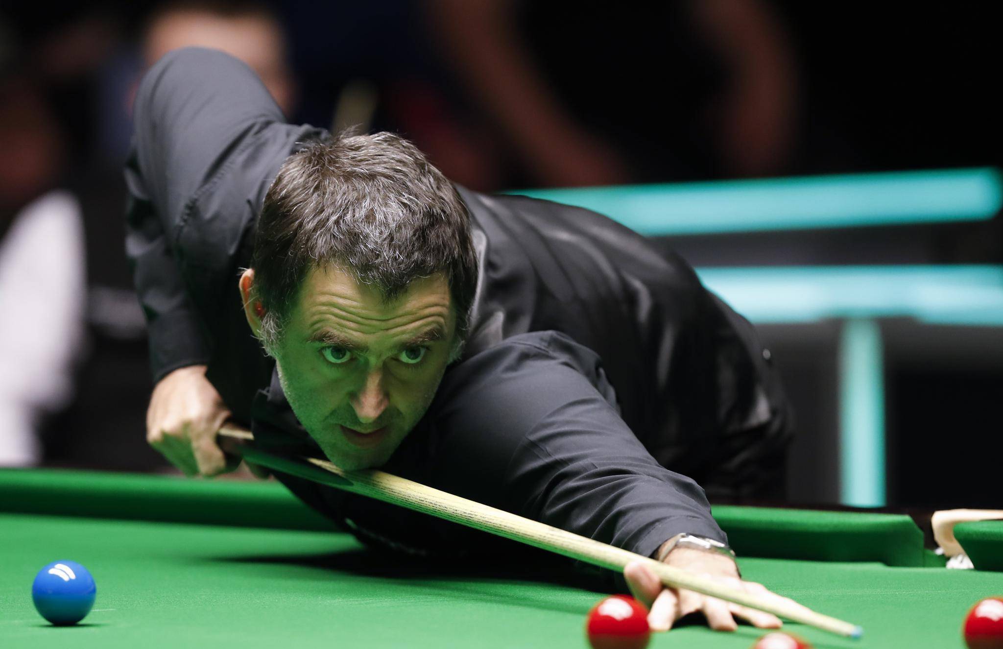 如今这位马 如今这位马